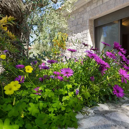 Anthemion And Нафплион