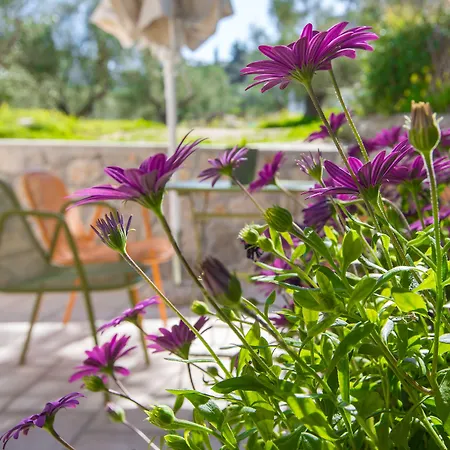 Anthemion And Ξενοδοχείο 3*