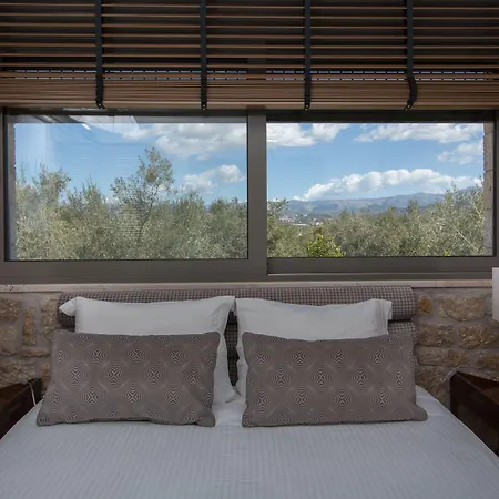 Отель Anthemion And