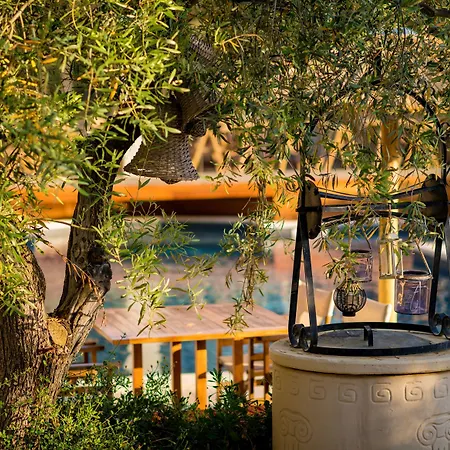 Отель Anthemion And 3*