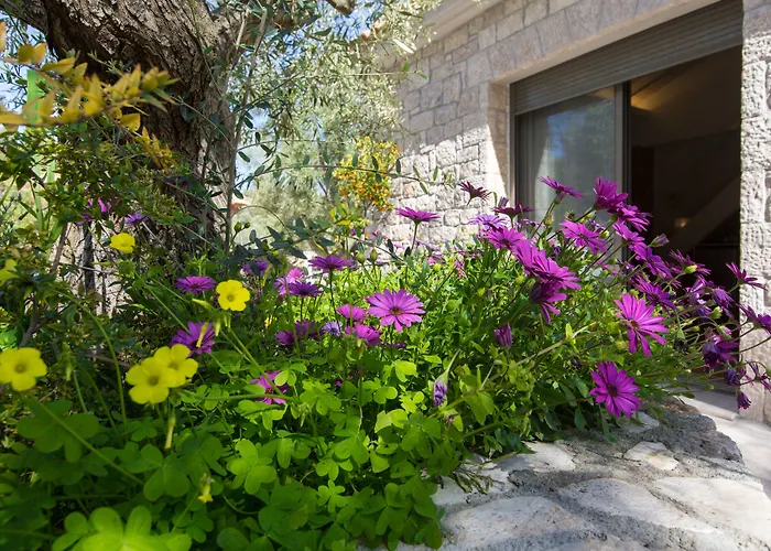 Anthemion And נאפפליו