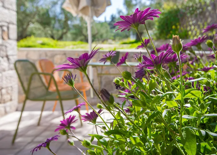 Anthemion And Hotel 3*